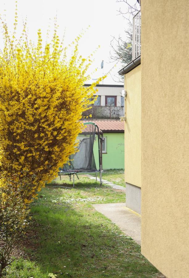Small-Comfy Guest House In Donaustadt Garden - Not Shared! Viena Exterior foto